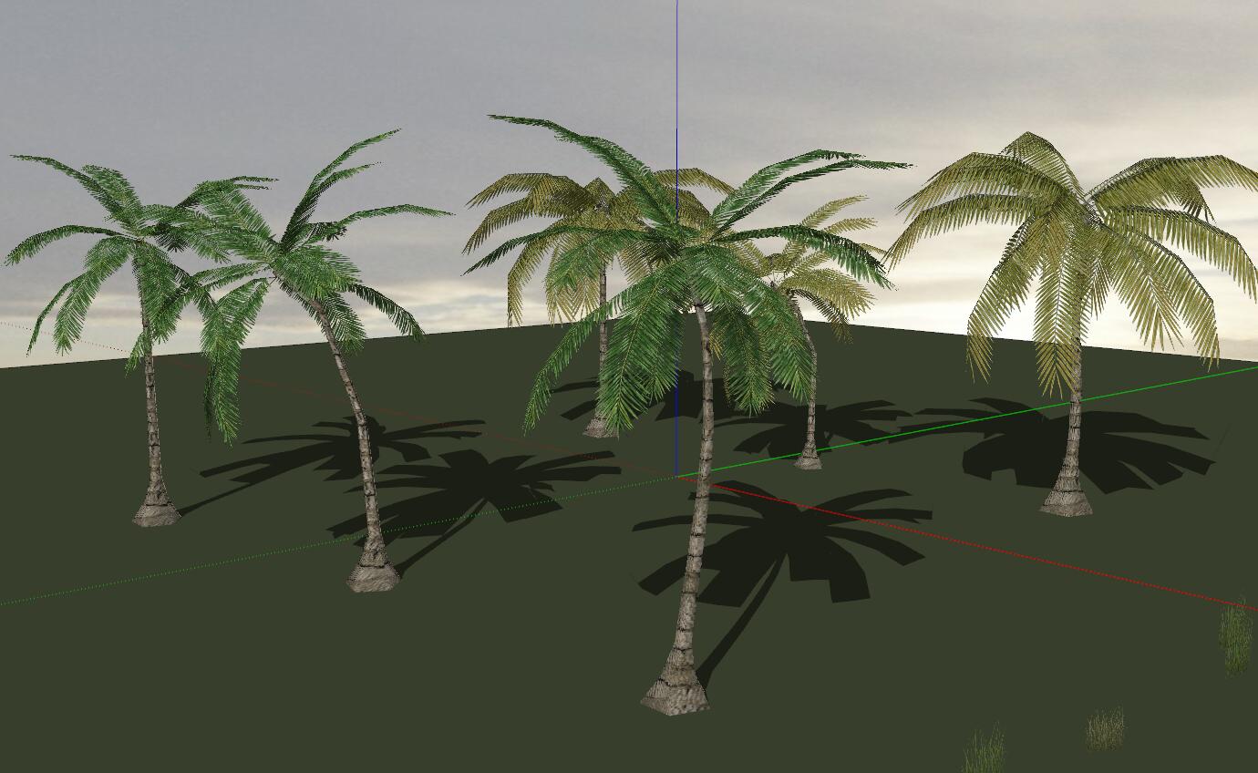 棕榈科植物 (18)-1
