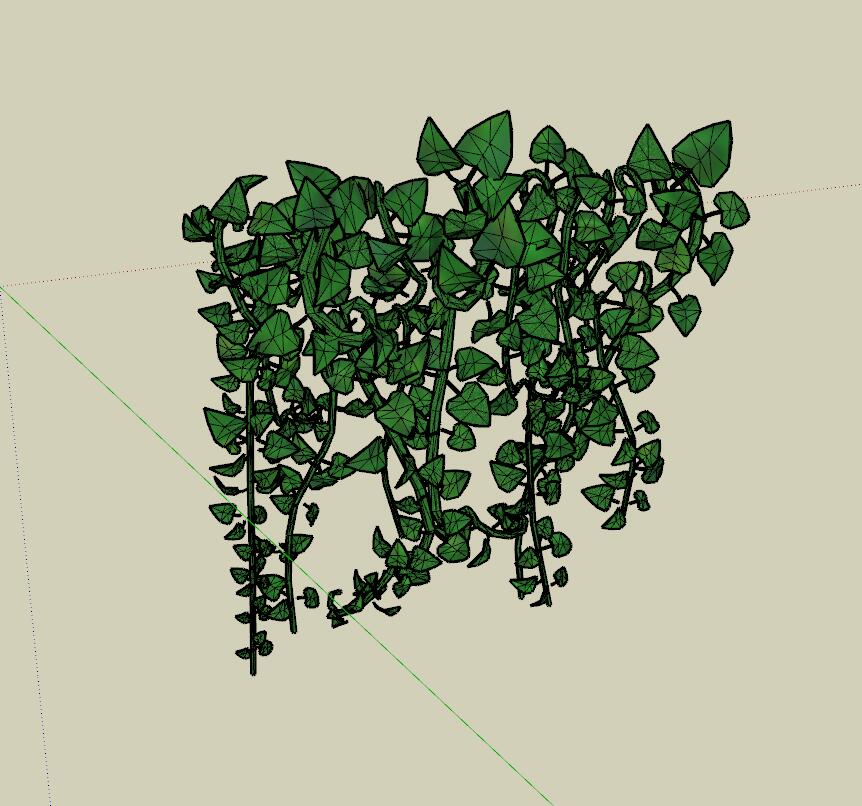 藤蔓植物 (8)-1