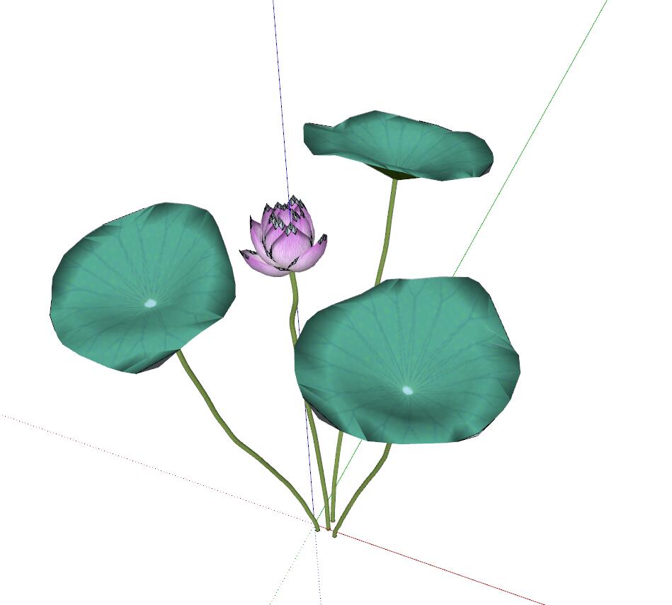睡莲荷花 (10)-1