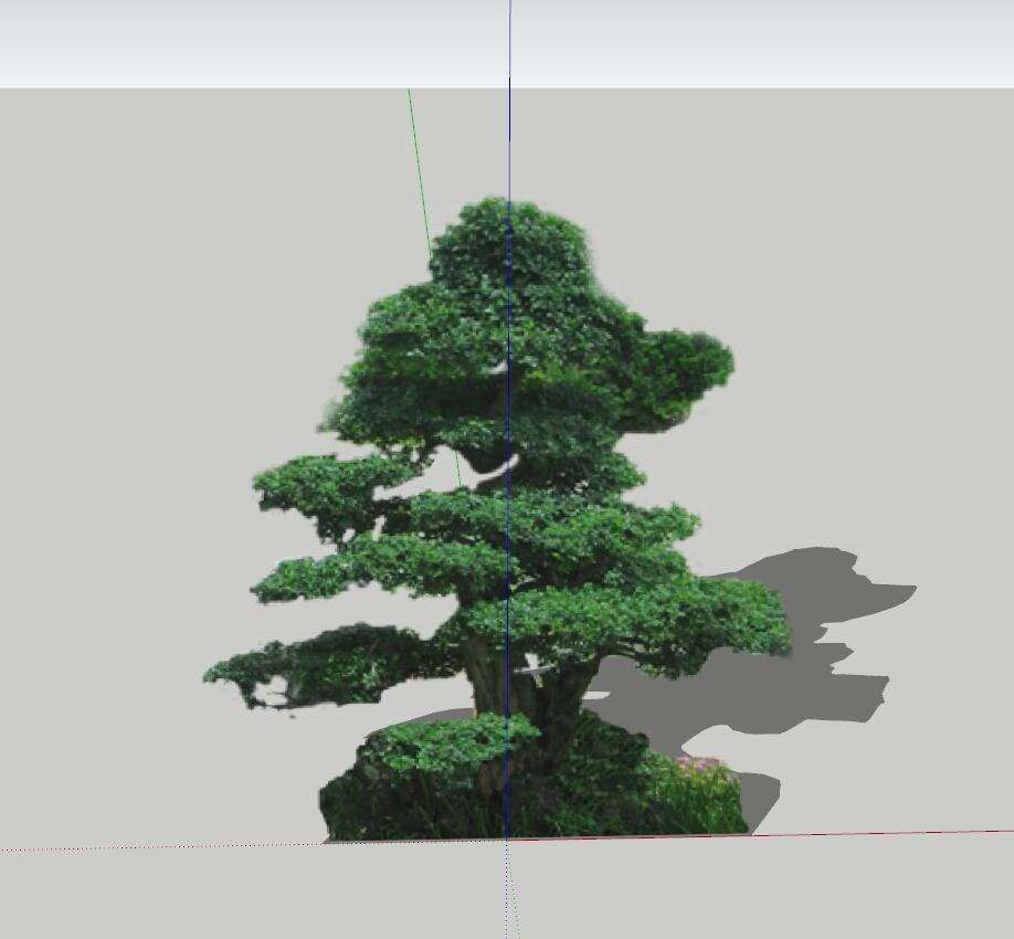 造型树-1