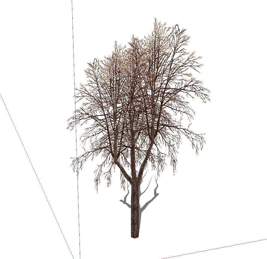 枯树冬季树 (1)-1