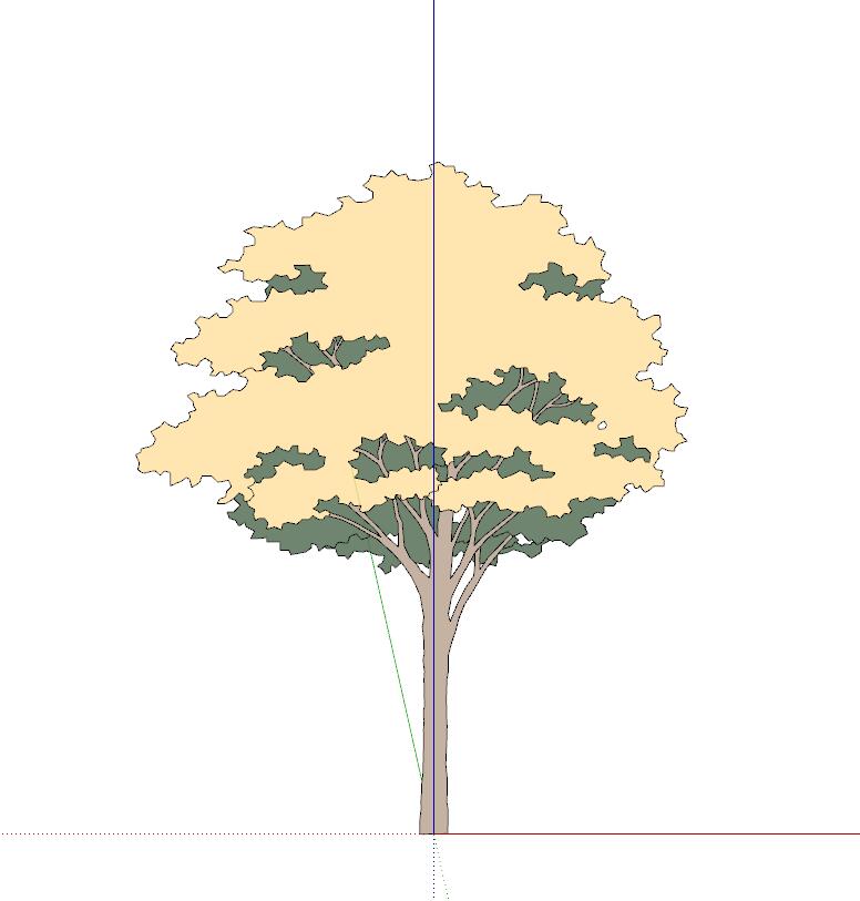 手绘植物 (10)-1