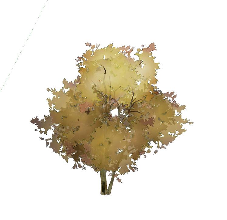 手绘植物 (13)-1