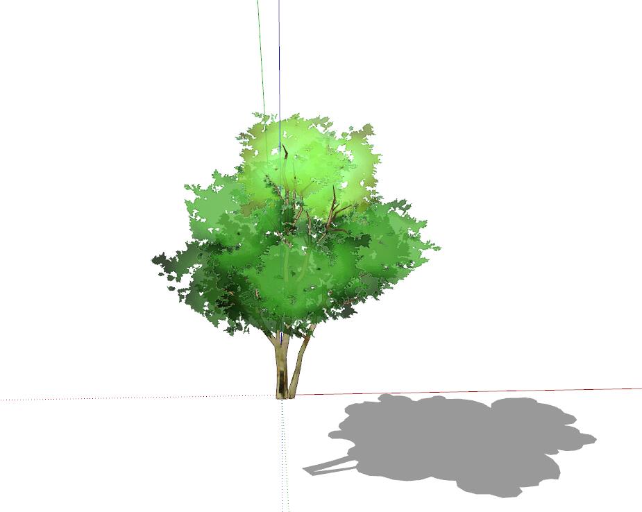 手绘植物 (14)-1