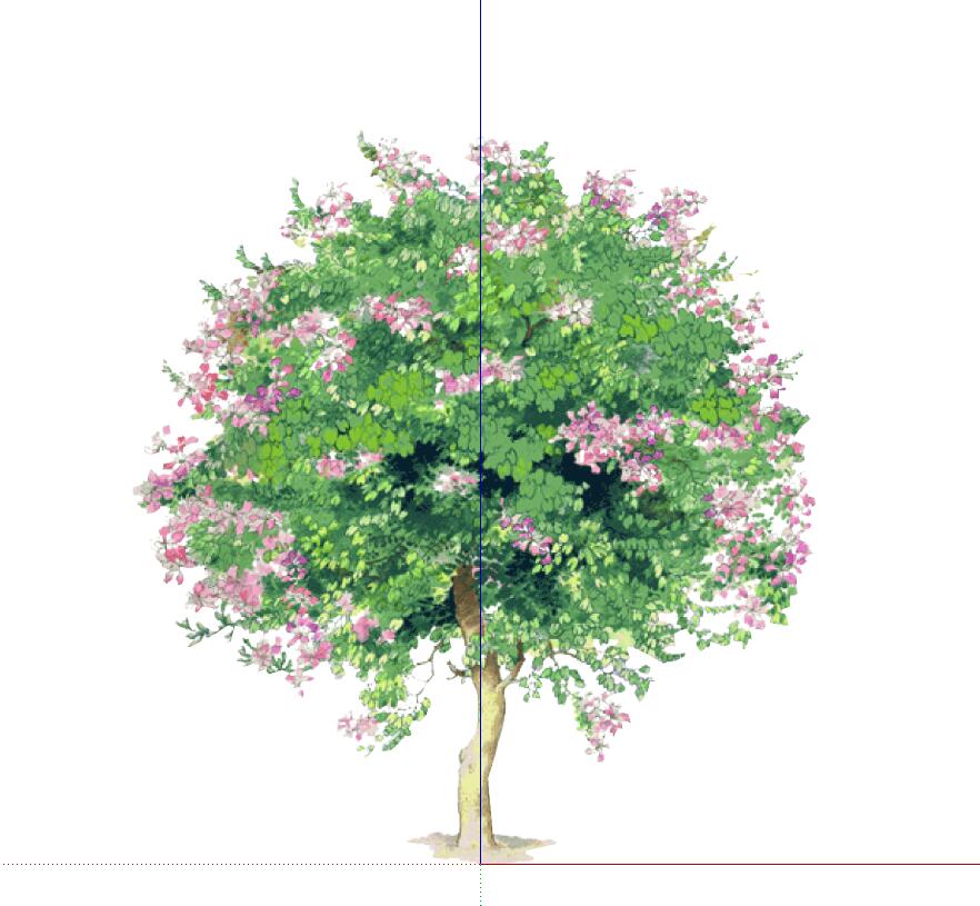 手绘植物 (29)-1