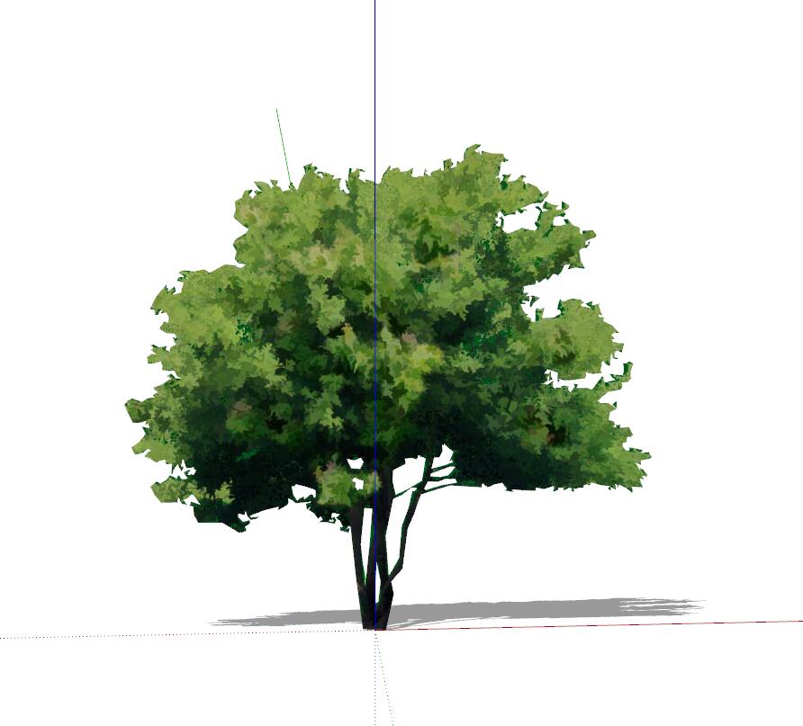 手绘植物 (52)-1