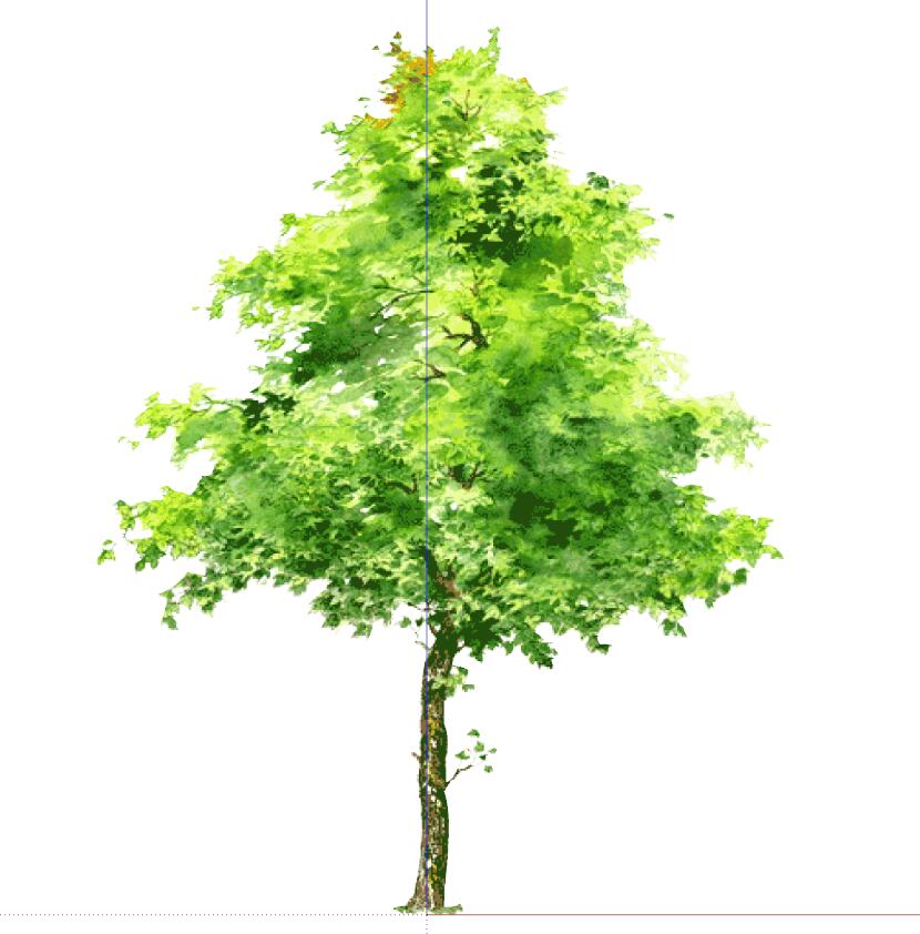 手绘植物 (61)-1