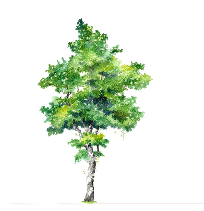 手绘植物 (64)-1