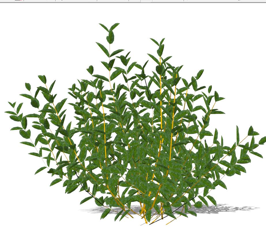 石斛 植物(9)-1
