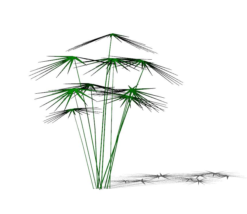 水竹植物(19)-1