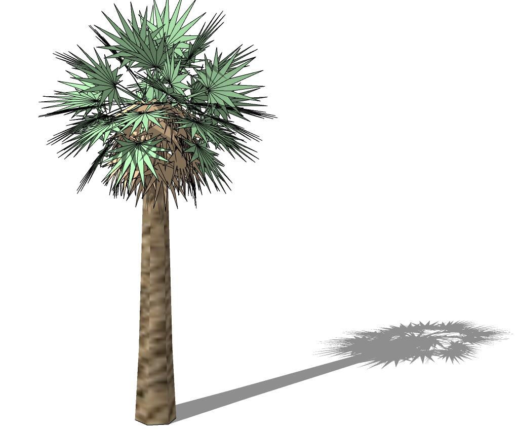 3D热带树 (1)-1
