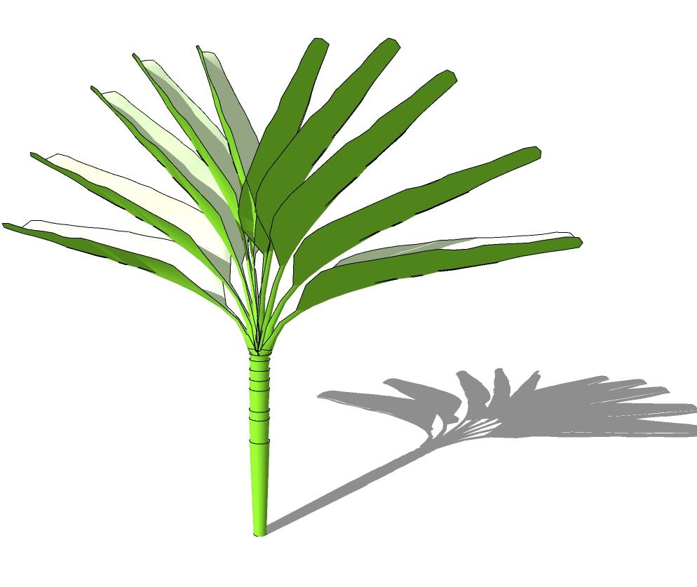 3D热带树 (5)-1