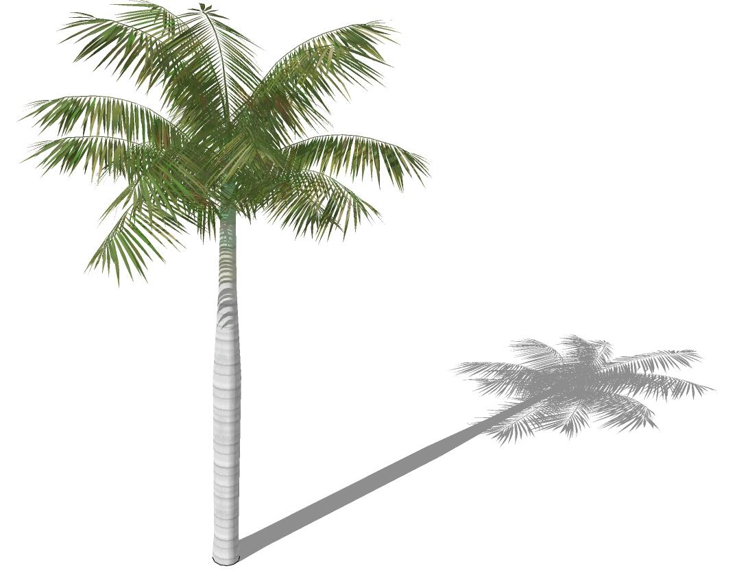 3D热带树 (15).jpg