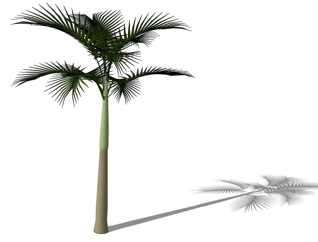 3D热带树 (21).jpg