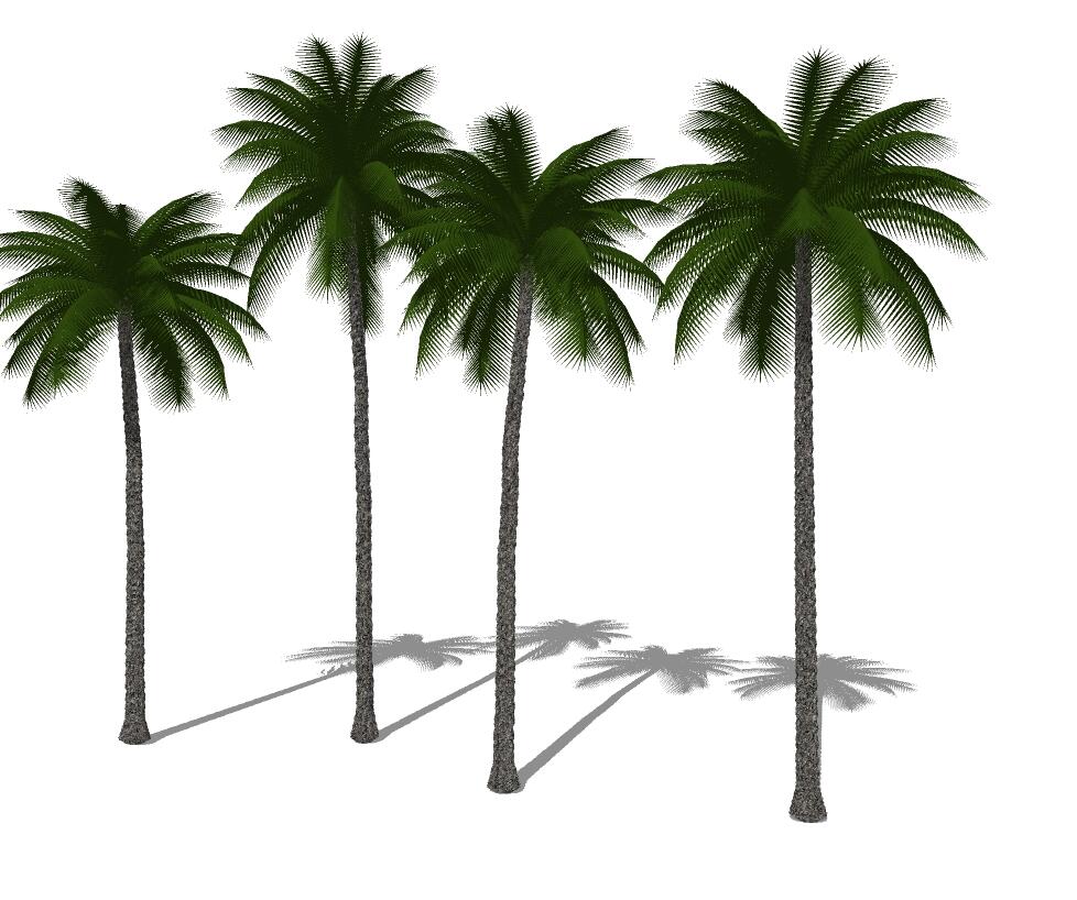 3D热带树 (28).jpg