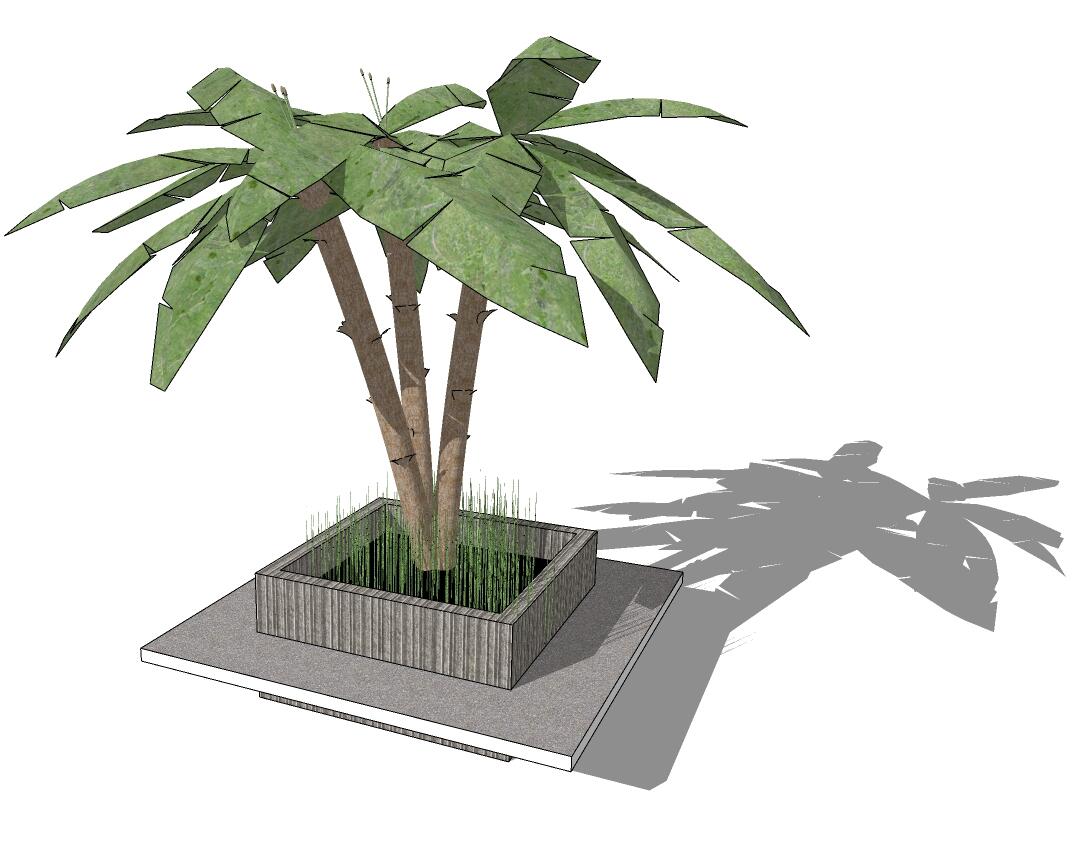 3D热带树 (29).jpg