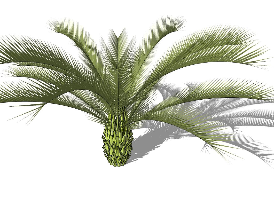 3D热带树 (30).jpg