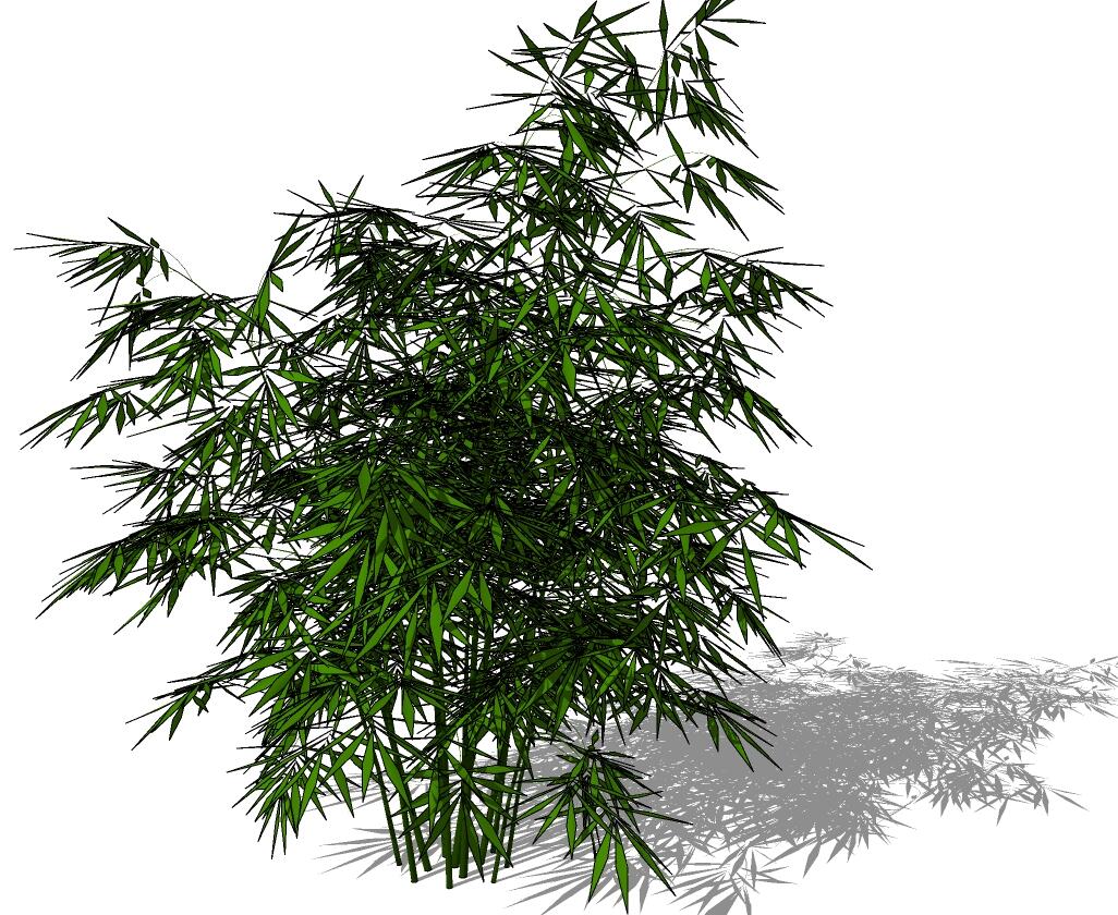 3D竹子 (12)-1