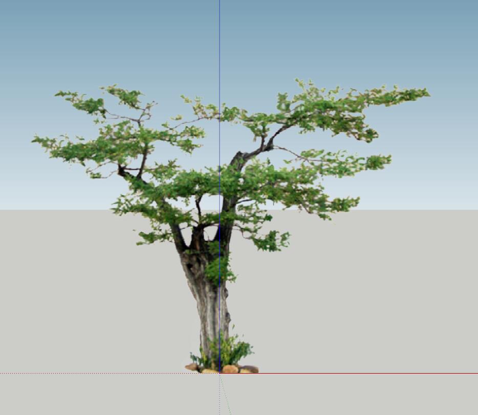 SU植物组件模型 (1).jpg