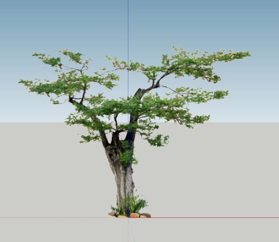 SU植物组件模型 (1)-1