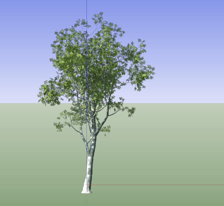 SU植物组件模型 (2).jpg