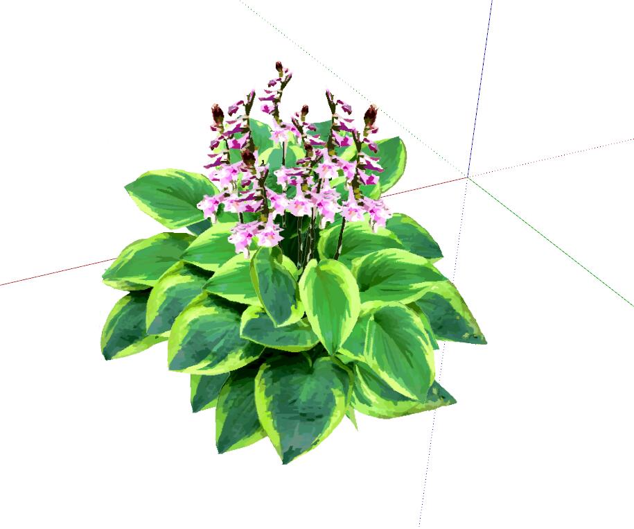 SU植物组件模型 (4).jpg