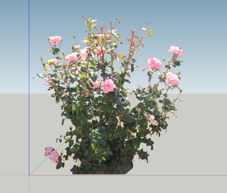 SU植物组件模型 (6).jpg