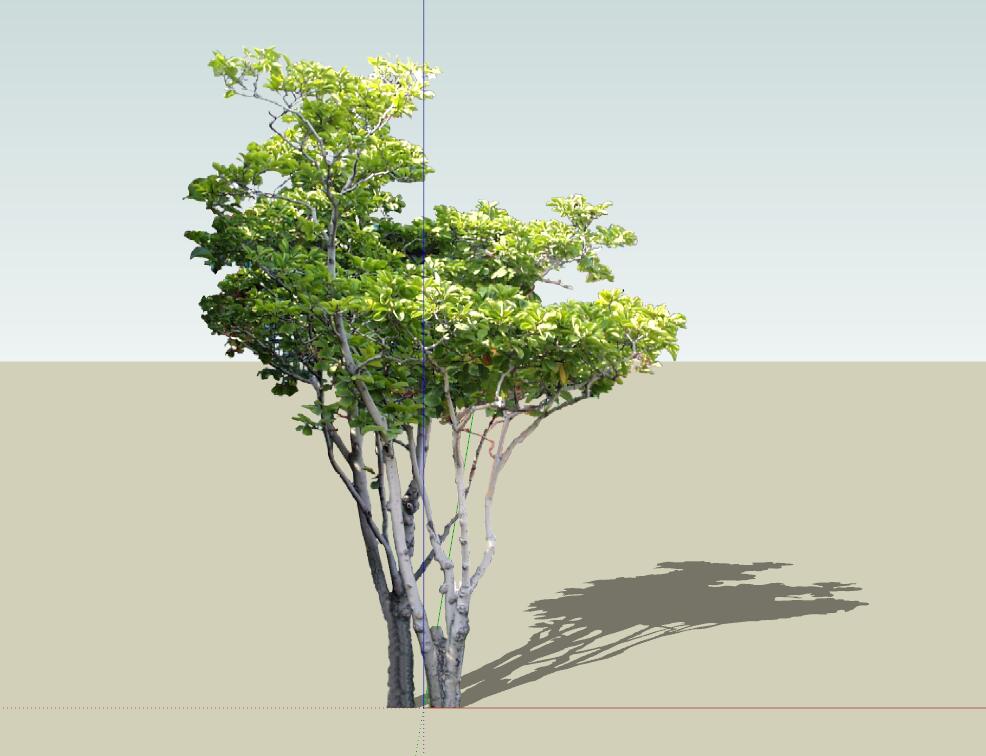 SU植物组件模型 (10).jpg