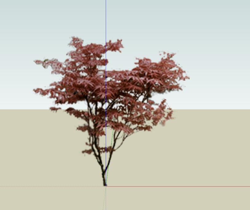 SU植物组件模型 (16).jpg