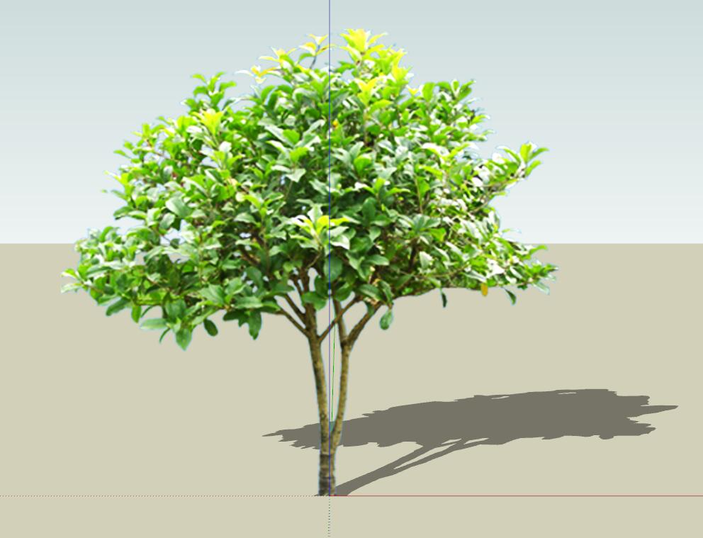 SU植物组件模型 (17).jpg