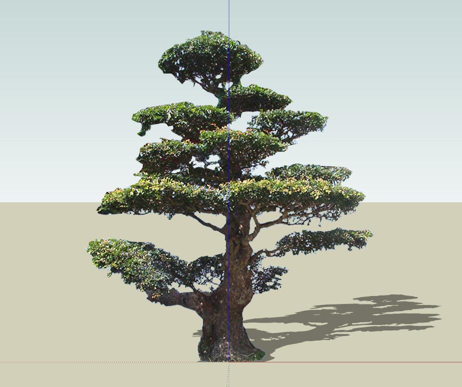 SU植物组件模型 (21).jpg