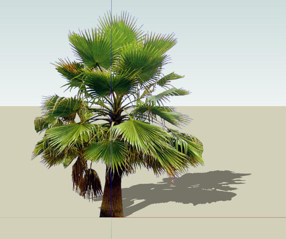 SU植物组件模型 (26).jpg