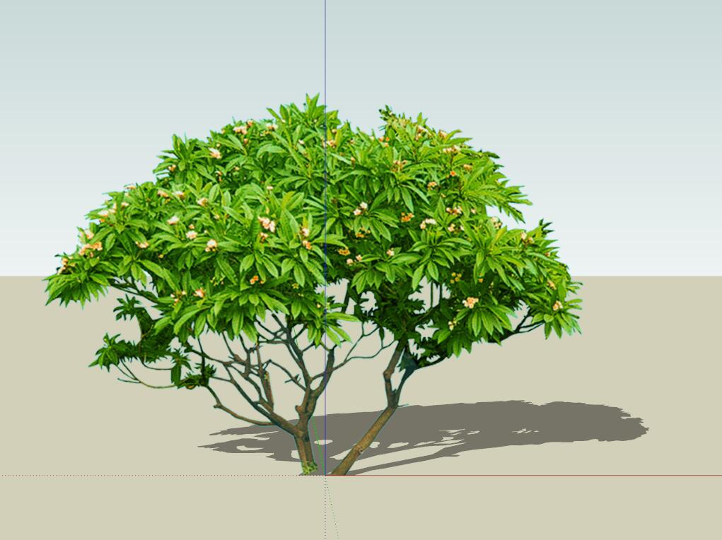 SU植物组件模型 (30)-1