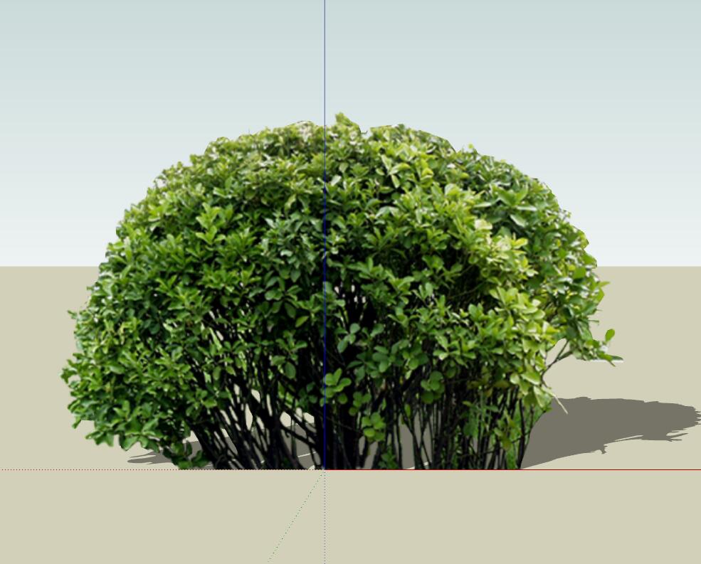 SU植物组件模型 (37).jpg