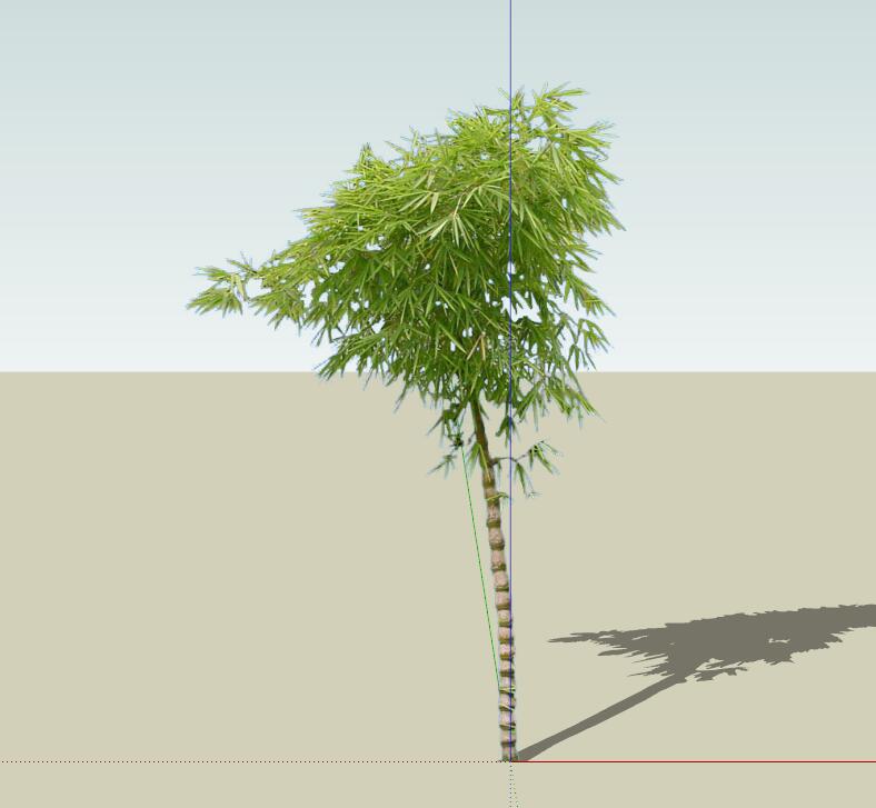 SU常用植物模型 (1).jpg