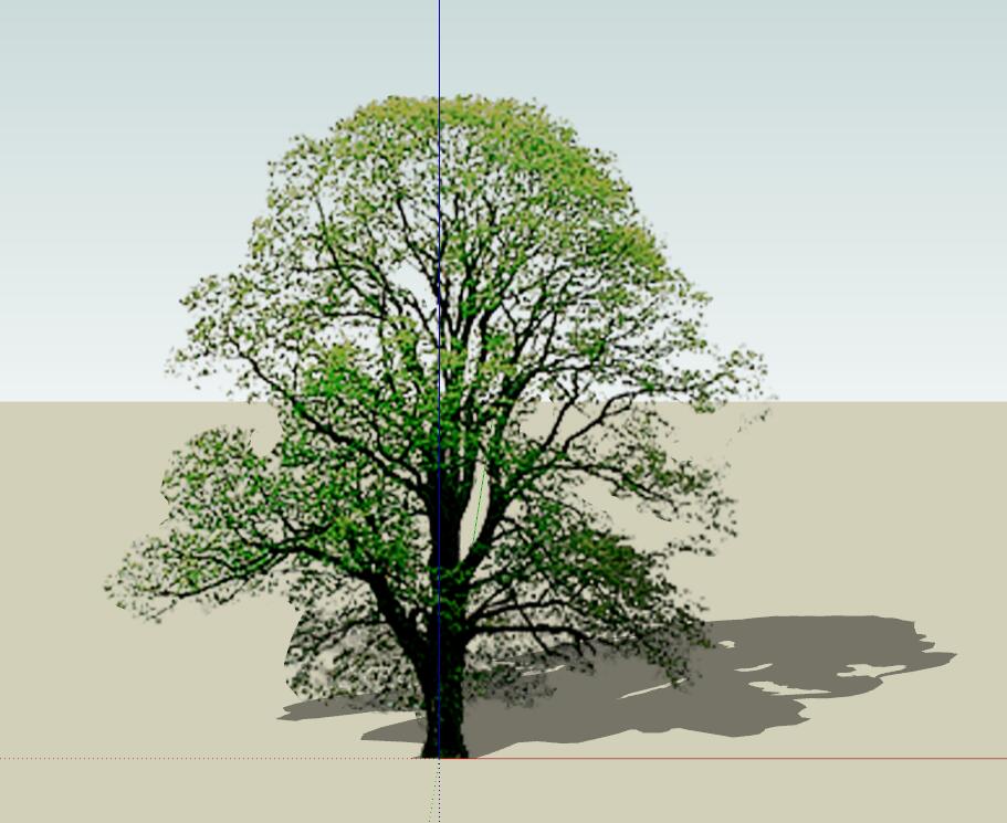 SU常用植物模型 (2).jpg