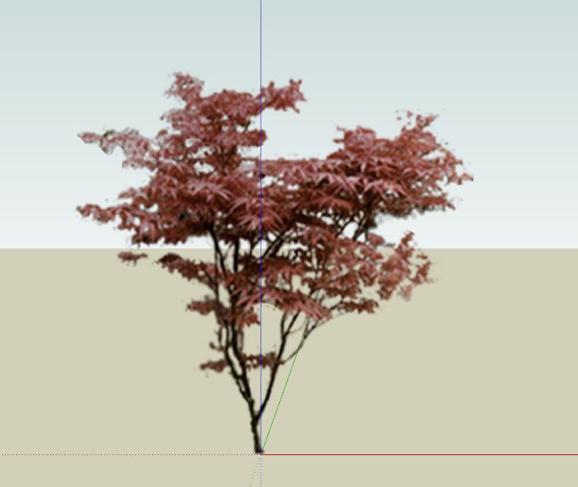 SU常用植物模型 (3).jpg