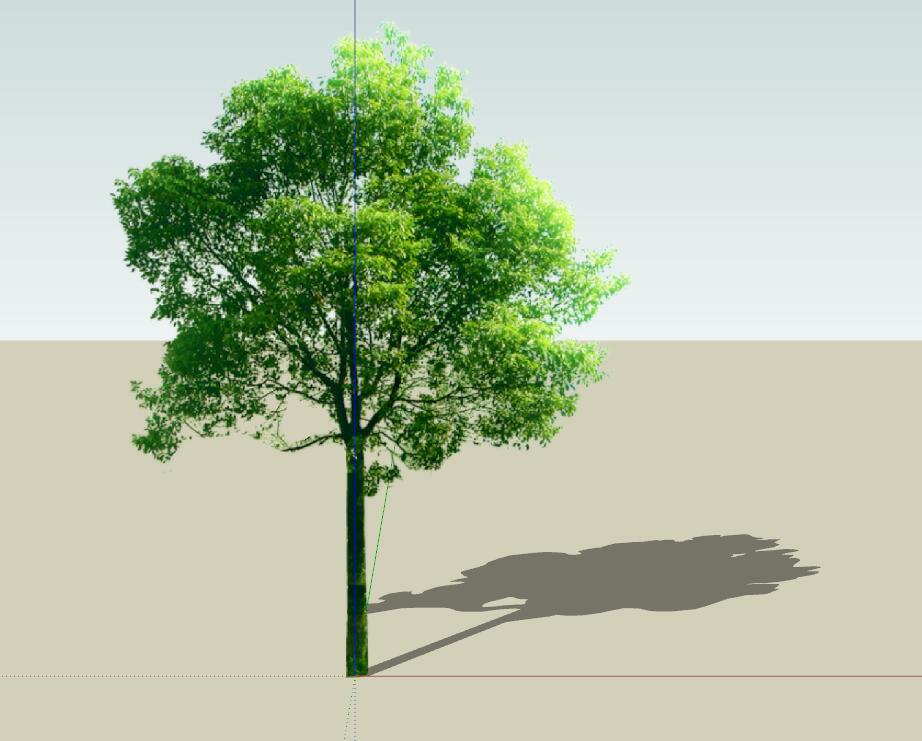 SU常用植物模型 (14).jpg