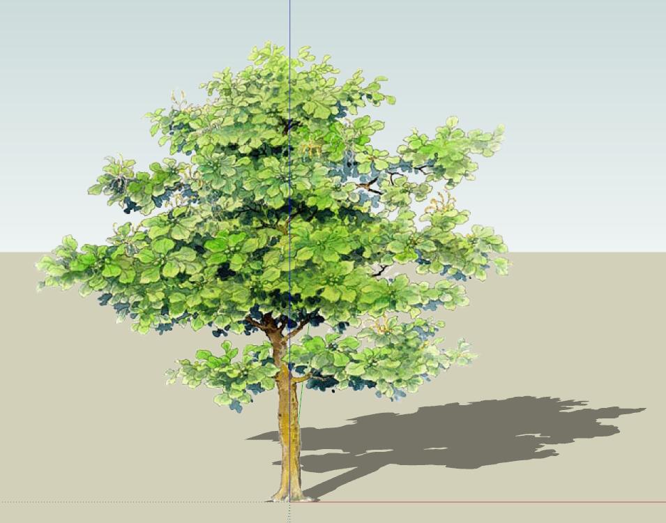 SU常用植物模型 (15)-1