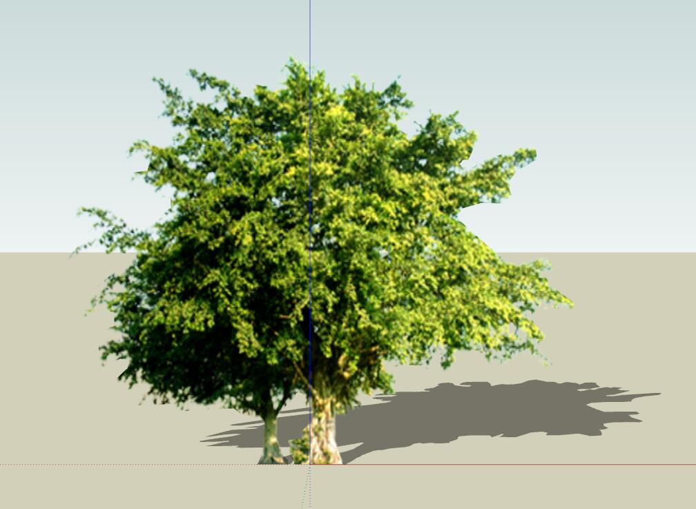 SU常用植物模型 (17).jpg