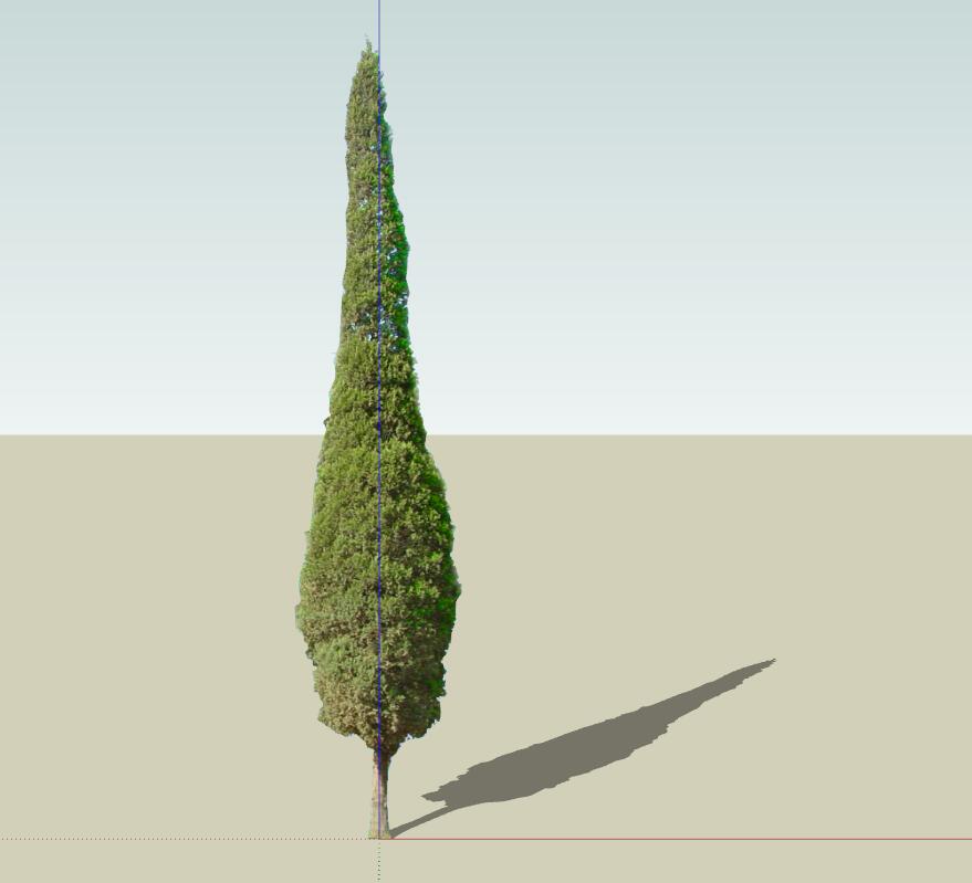 SU常用植物模型 (20)-1
