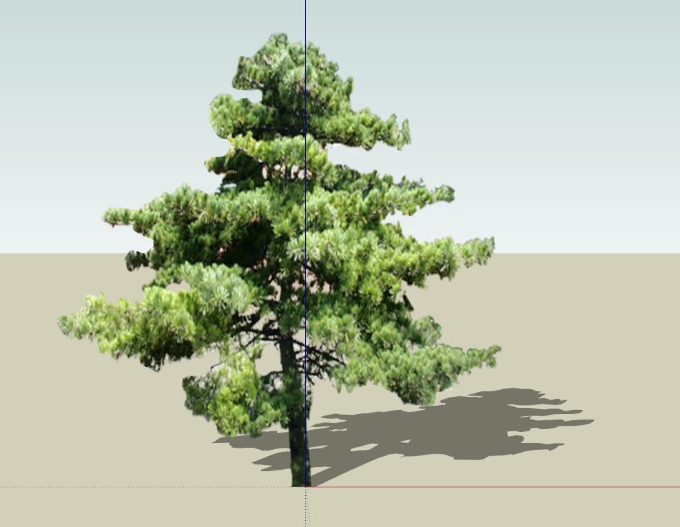 SU常用植物模型 (21).jpg