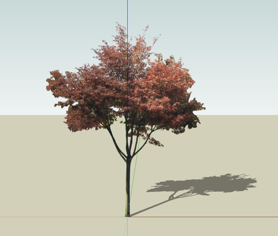 SU常用植物模型 (24).jpg