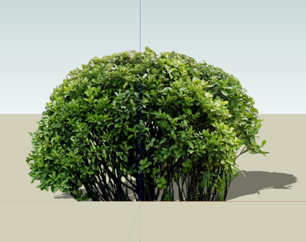 SU常用植物模型 (26)-1