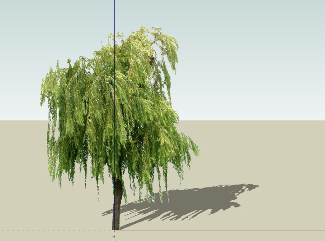 SU常用植物模型 (27).jpg