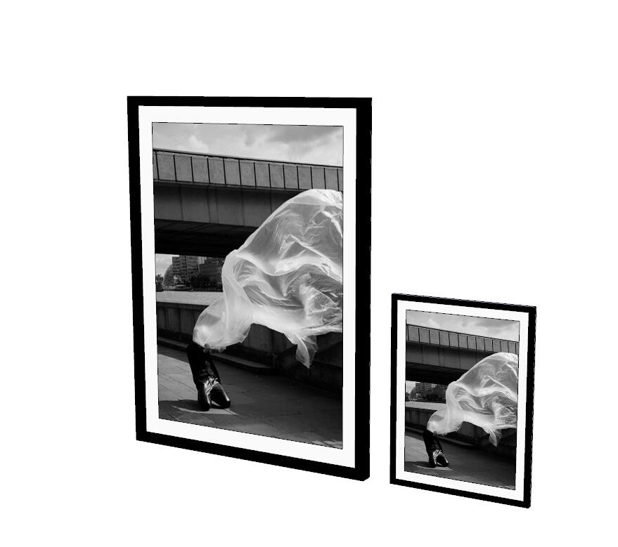 装饰画SU模型. (83)-1