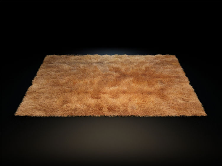 地毯3Dmax模型 (25)-1