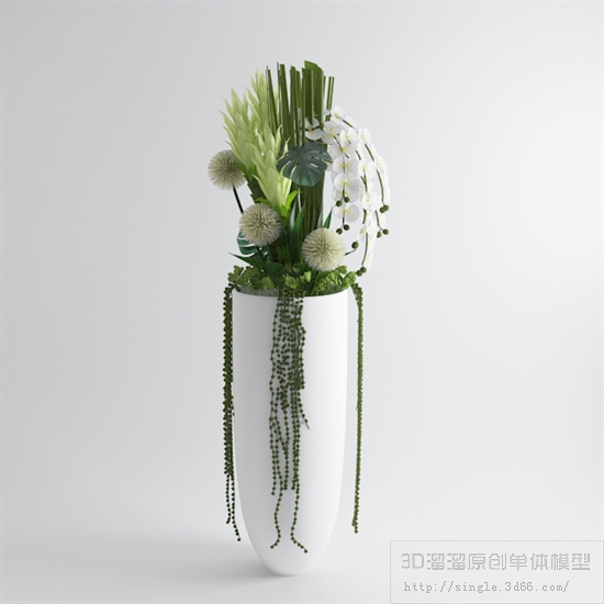 落地花卉3Dmax模型 (25)-1