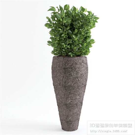 办公酒店植物3Dmax模型 (6).jpg