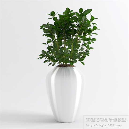 办公酒店植物3Dmax模型 (9).jpg